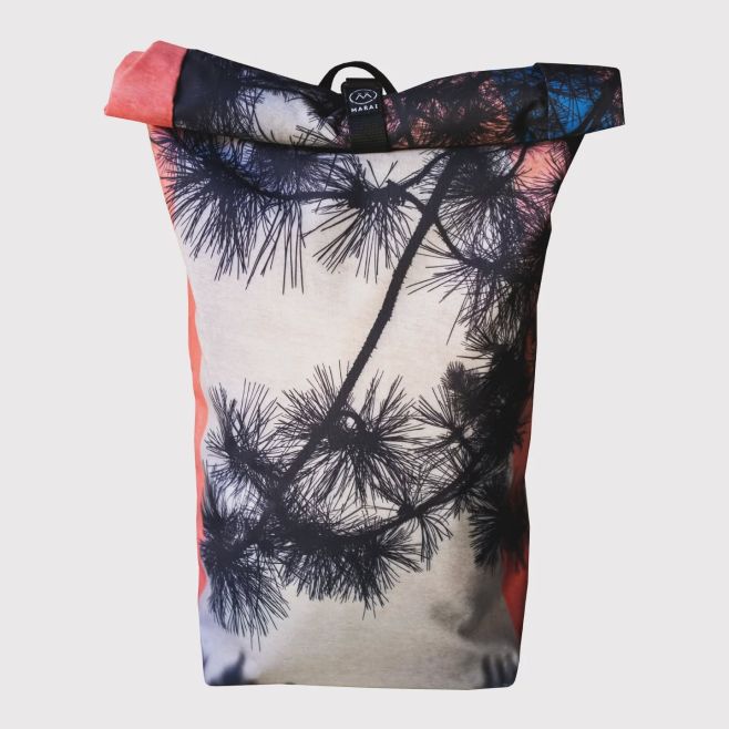 "Borovice z nových darů přijímala jenom moudře a opatrně. Měla nutkavou potřebu tajemného. A když nemohla jinak, uchovala...